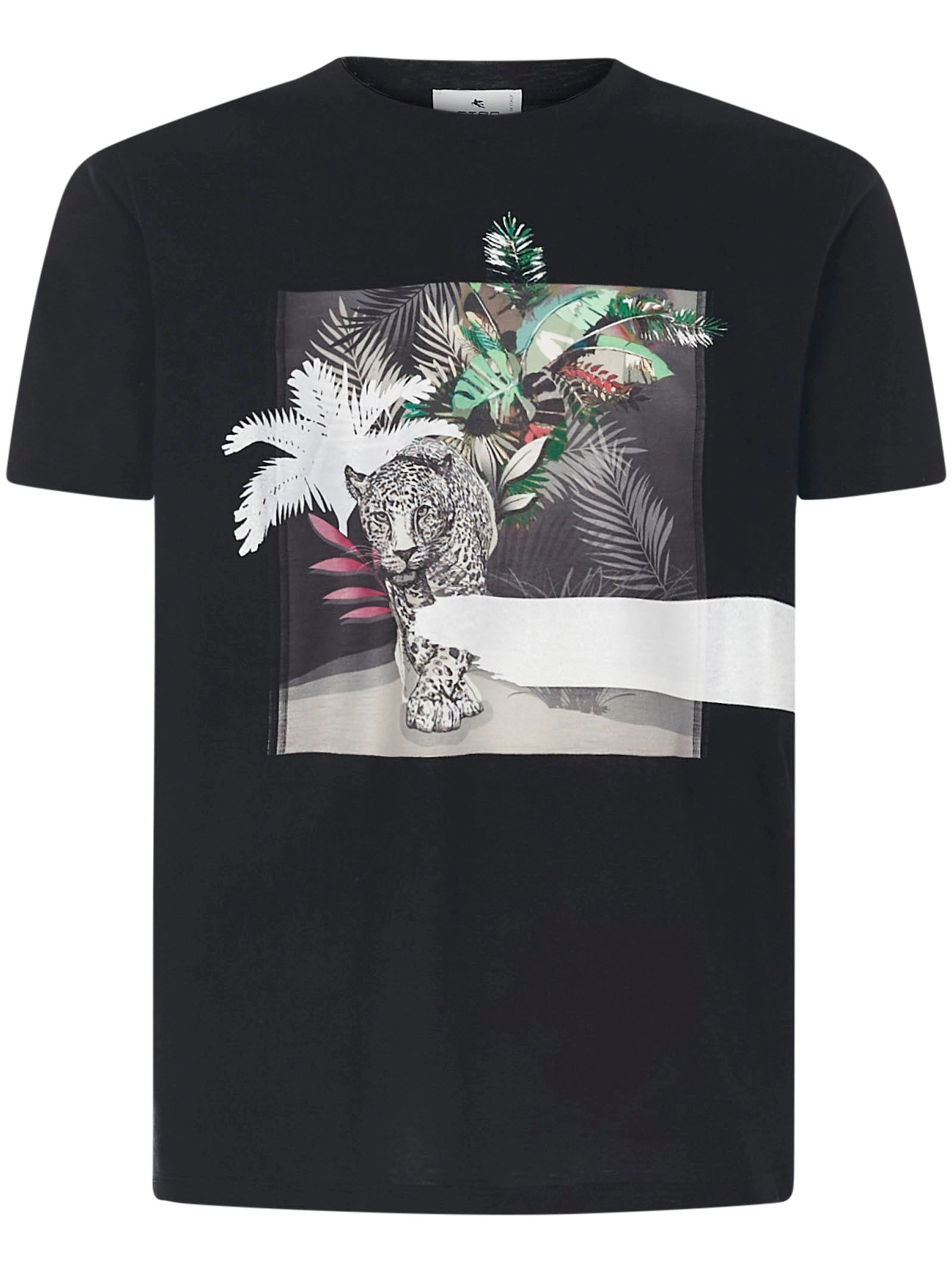 Etro Graphic Printed Crewneck T-Shirt