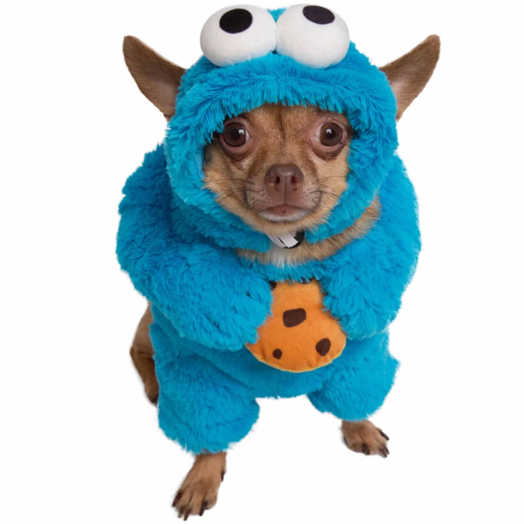 Pet Krewe Cookie Monster Costume